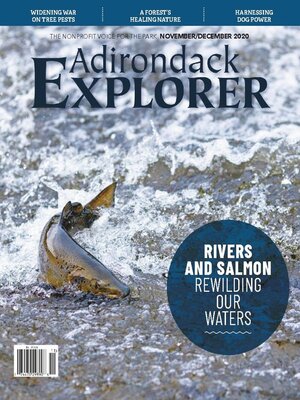 cover image of Adirondack Explorer
